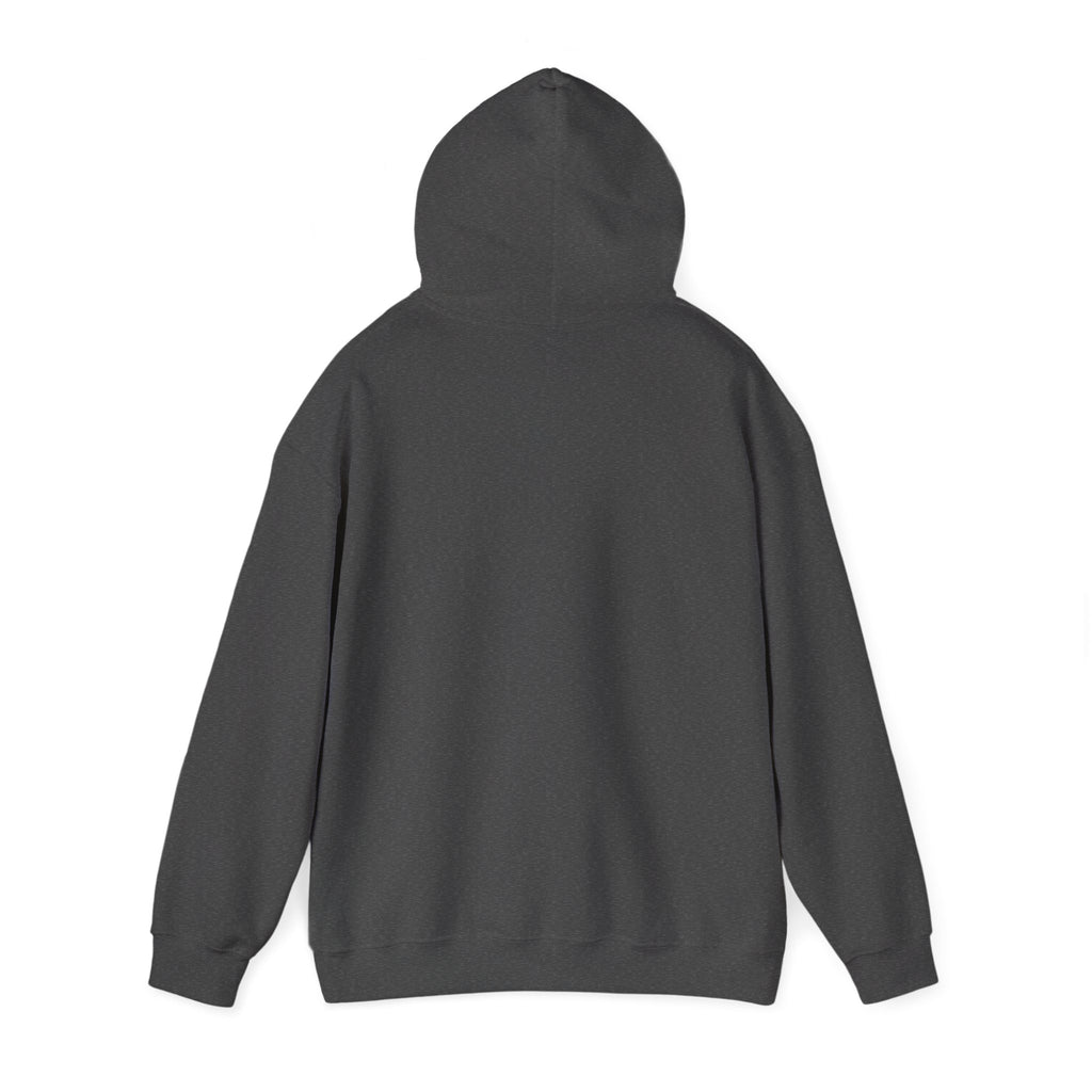 Christian Hoodie – "I Am Alive Because of God" Faith Graphic Pullover