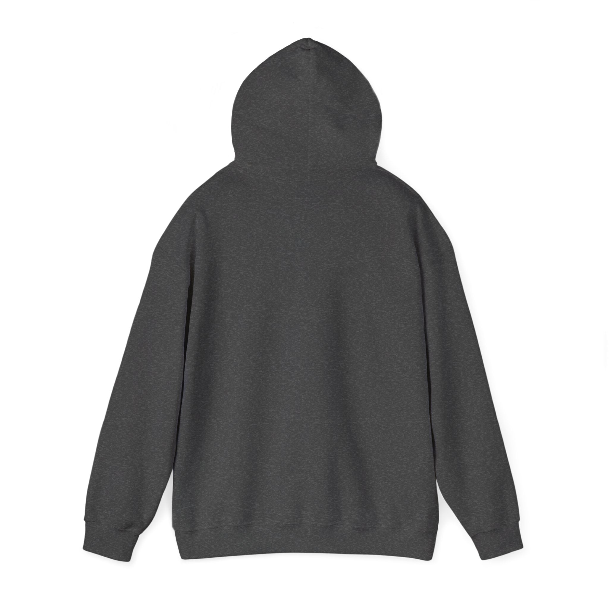 Christian Hoodie – "I Am Alive Because of God" Faith Graphic Pullover